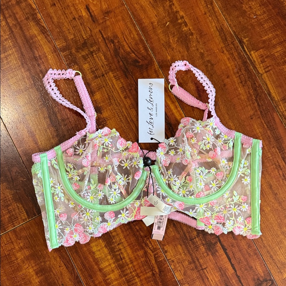 For Love & Lemons Pink & Green Floral Embroidered Bustier Corset